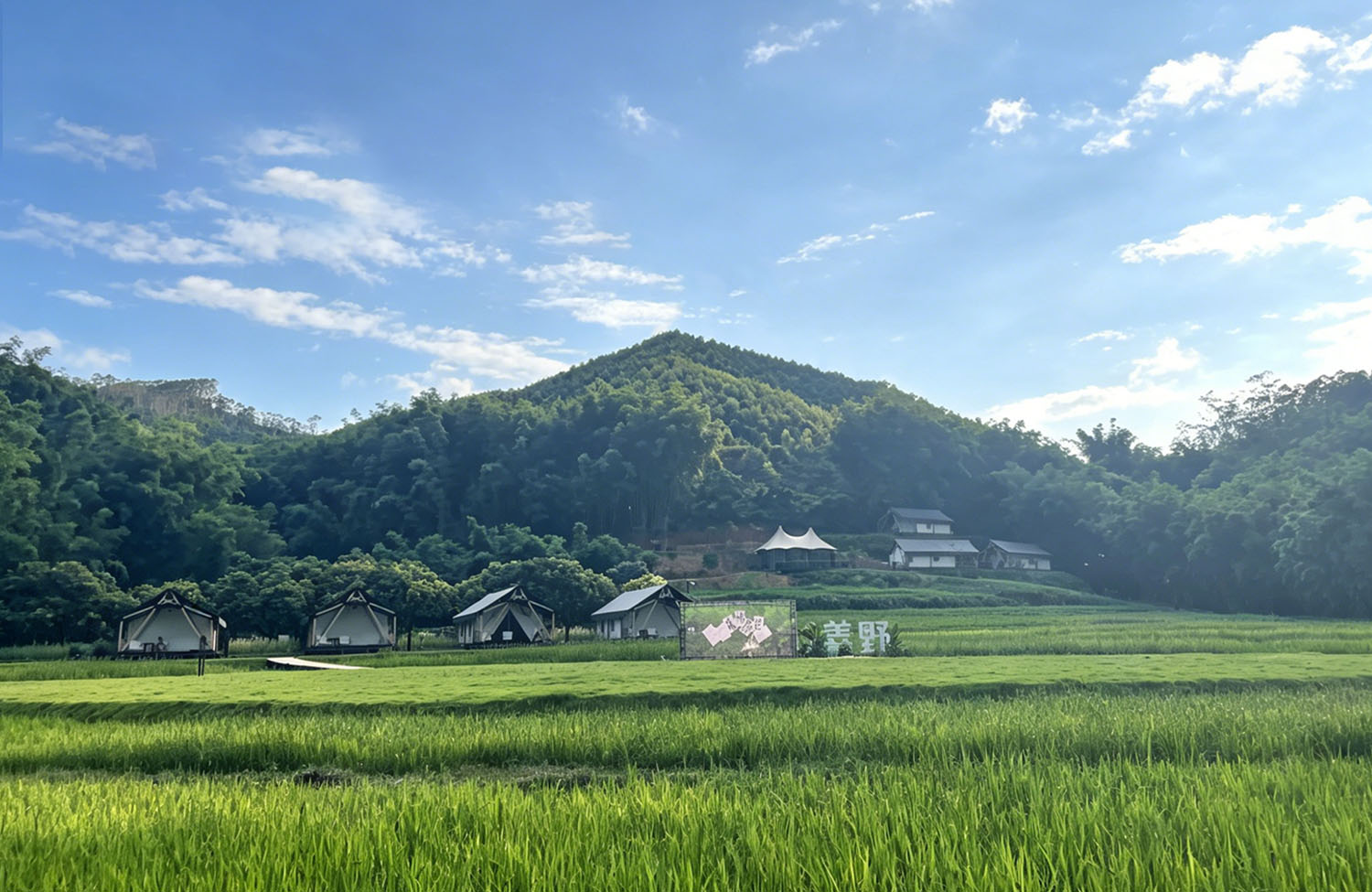 增城善野民宿